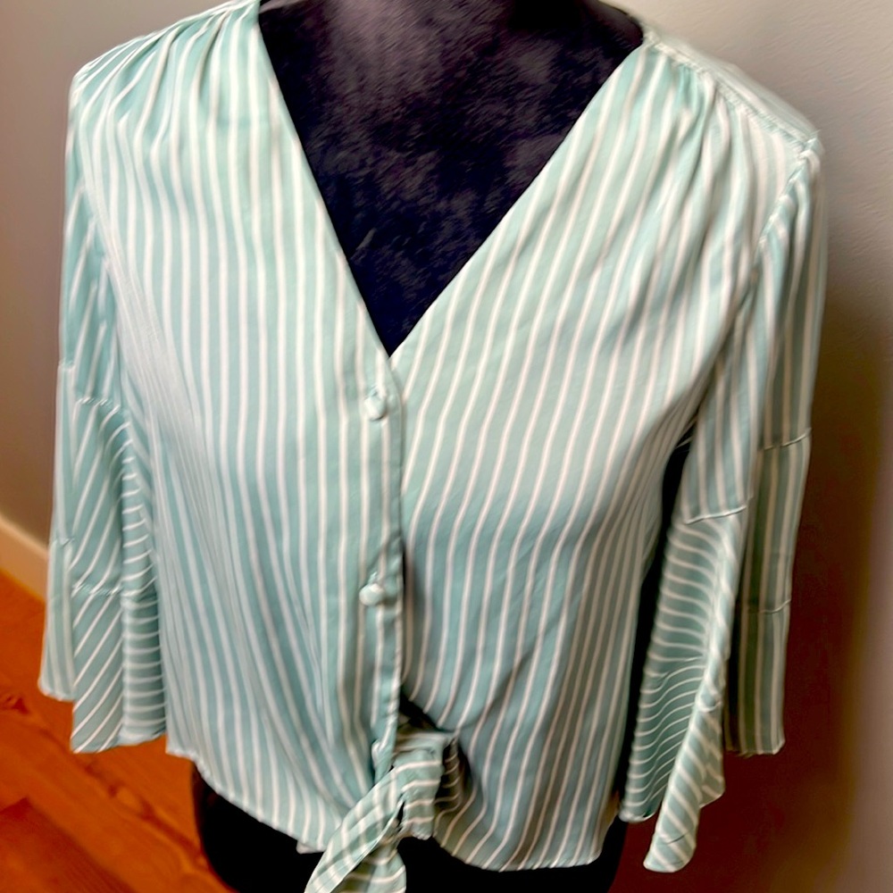 NWT Green Pinstripe Blouse
